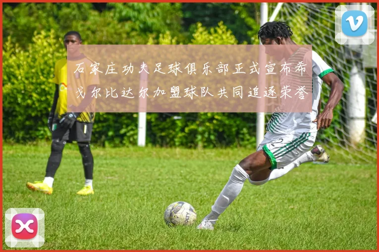 石家庄功夫足球俱乐部正式宣布希戈尔比达尔加盟球队共同追逐荣誉